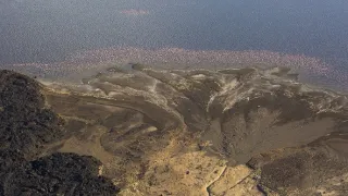 Pytačky vo svete zvierat (4/5)