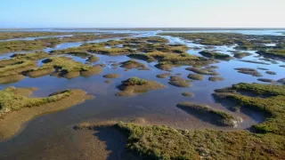 Portugalsko - divočina mezi pevninou a oceánem