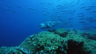 Portugalsko - divočina mezi pevninou a oceánem