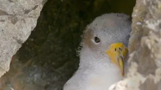 Portugalsko - divočina mezi pevninou a oceánem
