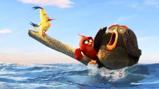 Angry Birds ve filmu