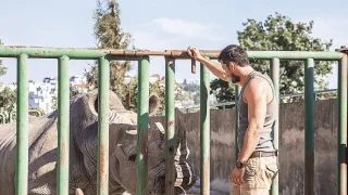 Zoo (30)