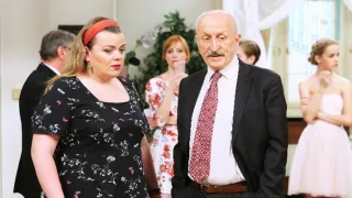 Krejzovi (80)