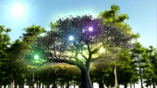 Království divočiny: Letní příroda v Okutamě