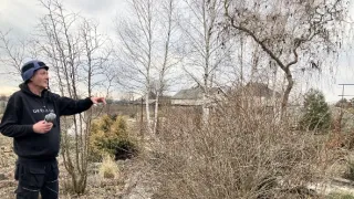 Válečný zpravodaj