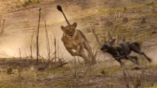 Zázračná planéta: Dynastie (4/5)