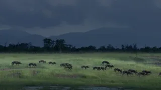 Zázračná planéta: Dynastie (4/5)