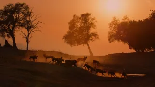 Zázračná planéta: Dynastie (4/5)