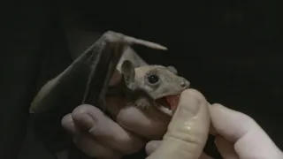 Izrael, země kontrastů (1/2)