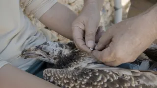 Izrael, země kontrastů (1/2)