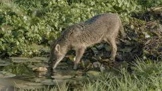 Izrael, země kontrastů (1/2)