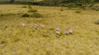 Afrika z vtáčej perspektívy