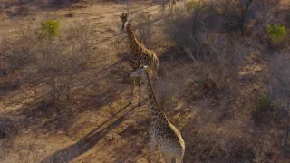 Afrika z vtáčej perspektívy