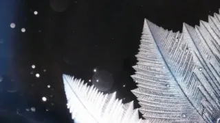 Kúzla a nebezpečenstvá škandinávskej zimy (2/4)