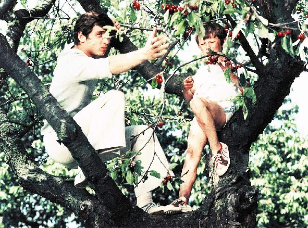 Setkání v červenci, 1978 - fotogaléria