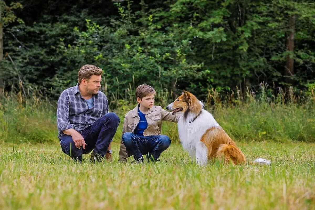 Lassie sa vracia (Lassie Come Home/Lassie - Eine abenteuerliche Reise), 2020 - fotogaléria
