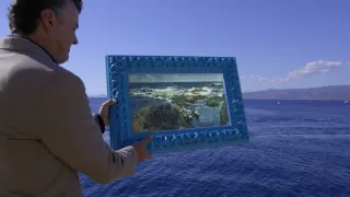 Emoce v umění (3/24)