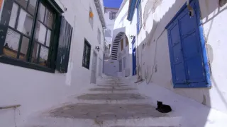 Emoce v umění (3/24)