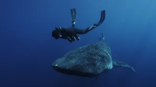 Pod hladinu za morskými legendami (1/2)