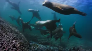 Patagonie - život na konci světa (3/6)