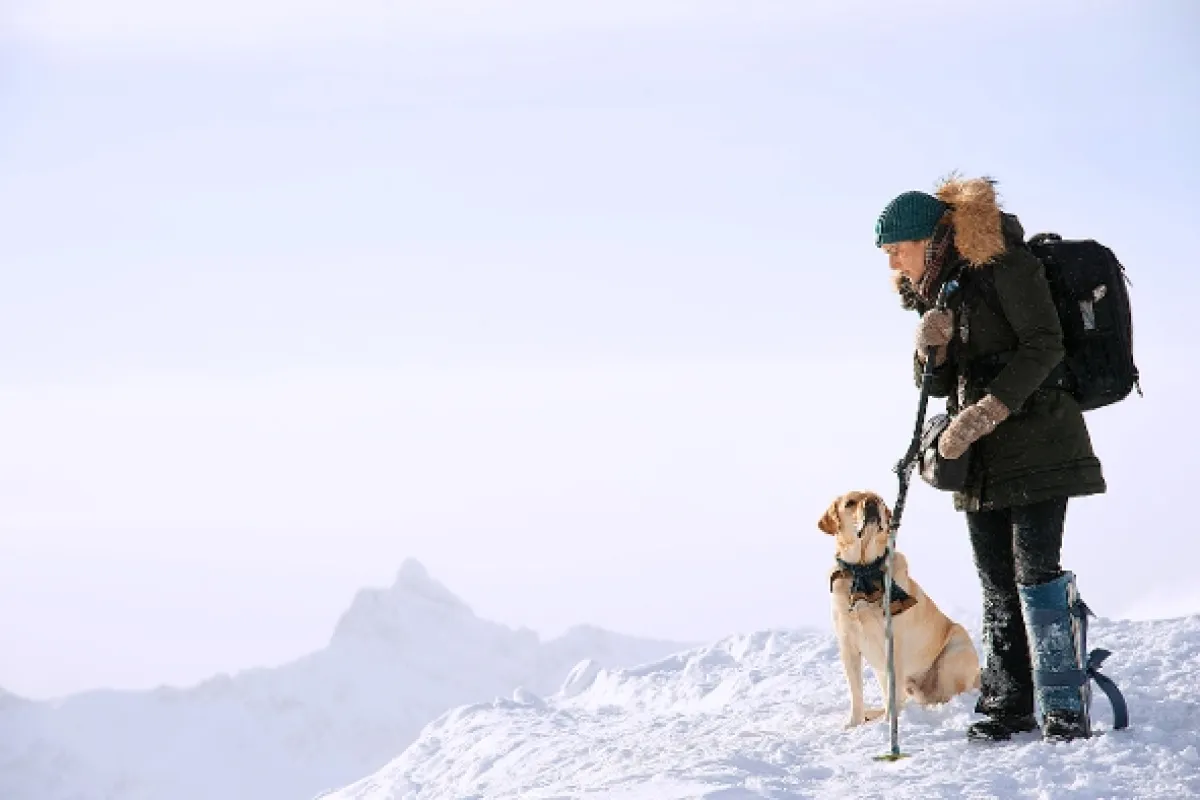 Hora medzi nami (The Mountain between Us), 2017 - fotogaléria
