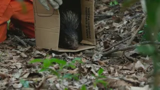 Zázračná planeta: Planeta Země III (7/8)