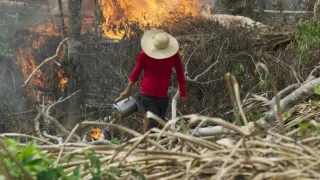 Zázračná planeta: Planeta Země III (7/8)