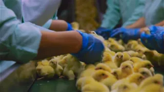 Zázračná planeta: Planeta Země III (7/8)