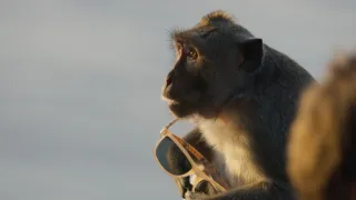 Zázračná planeta: Planeta Země III (7/8)