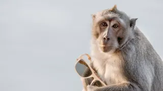 Zázračná planeta: Planeta Země III (7/8)