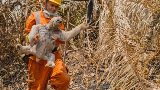 Zázračná planeta: Planeta Země III (7/8)