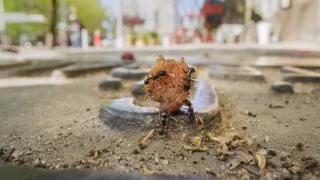 Zázračná planeta: Planeta Země III (7/8)