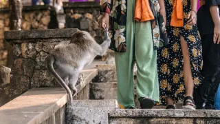 Zázračná planeta: Planeta Země III (7/8)