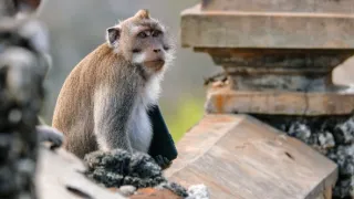 Zázračná planeta: Planeta Země III (7/8)