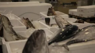 Obří dopravní uzly