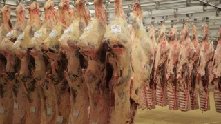 Obří dopravní uzly