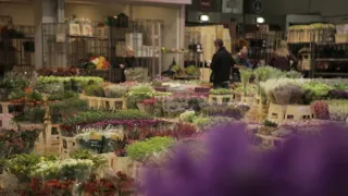 Obří dopravní uzly