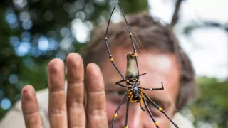 Trabantem z Austrálie do Asie (8)