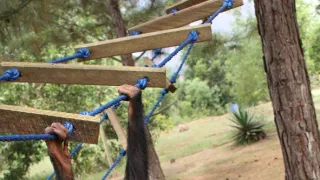 Útulok pre záchranu šimpanzov Jane Goodallovej (2/6)