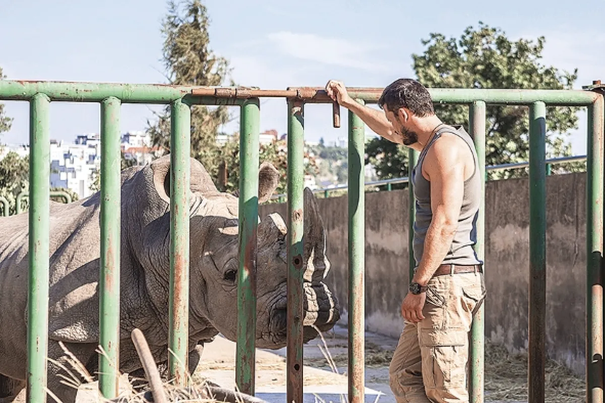 Zoo, 2016 - fotogaléria