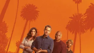 NCIS: Los Angeles XIV (8)