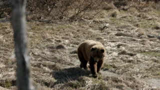 Vražedný národ II (8)