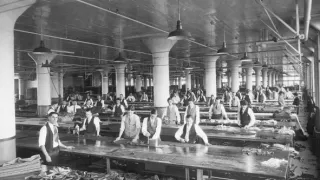 Jak továrny změnily svět