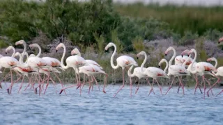 Nedotknutý raj: Turecko