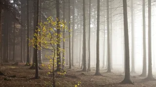 Z kraja Praděda a kráľa Ječmínka