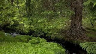 Z kraja Praděda a kráľa Ječmínka