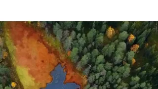 Lesní hrdinové