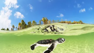 Zázračná planeta: Mláďata (2/3)