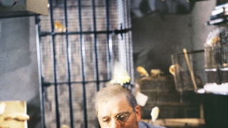 Vtáčnik z Alcatrazu