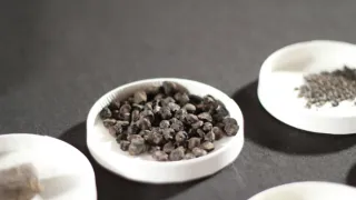 8 dní, které stvořily Řím (2/8)